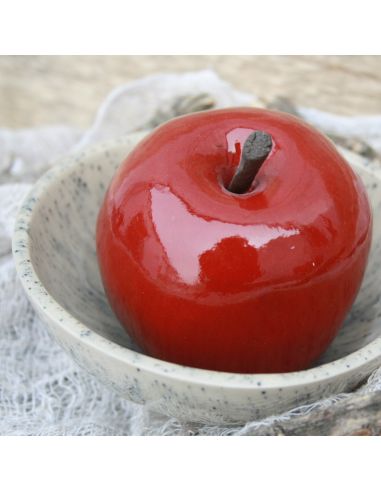 BO9611 Émail faïence Rouge intense brillant | BOTZ