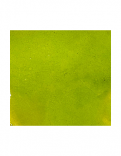 Email Vert Pomme VC92300