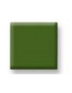 Oxyde colorant vert feuille d'automne CJCFK520