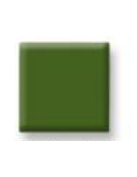 Oxyde colorant vert feuille d'automne CJCFK520