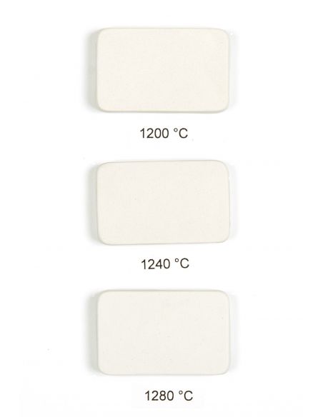 PORCELAINE DE BAVIERE LISSE - G1100