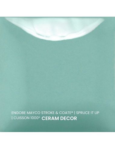 SC101 couleur à peindre SPRUCE IT UP | MAYCO