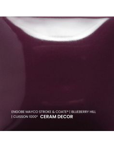 SC40 couleur à peindre BLUEBERRY HILL | MAYCO