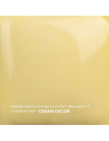 SC55 couleur à peindre YELLA BOUT IT | MAYCO