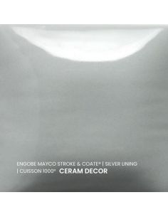SC60 couleur à peindre SILVER LINING | MAYCO