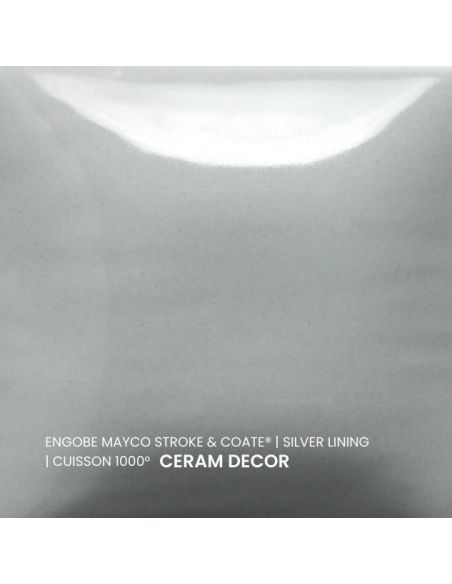 SC60 couleur à peindre SILVER LINING | MAYCO