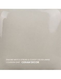 SC60 couleur à peindre SILVER LINING | MAYCO 2