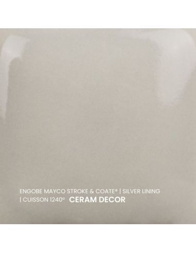 SC60 couleur à peindre SILVER LINING | MAYCO
