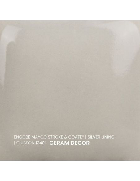SC60 couleur à peindre SILVER LINING | MAYCO