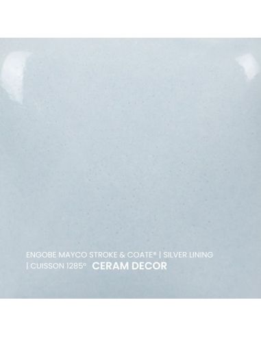 SC60 couleur à peindre SILVER LINING | MAYCO