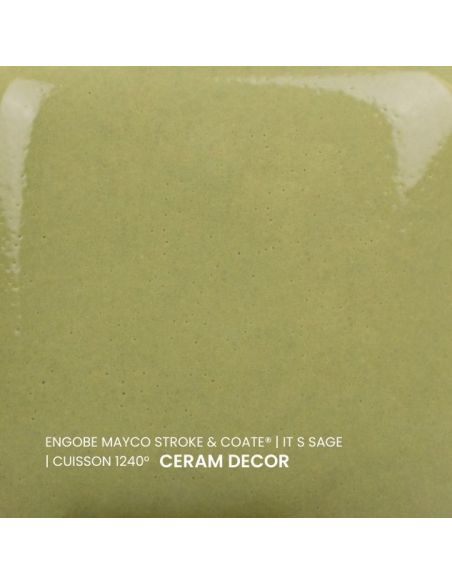 SC79 couleur à peindre IT S SAGE | MAYCO