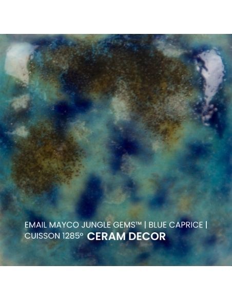 Email CG718 Blue caprice | MAYCO