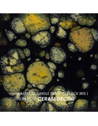 Email CG798 Black iris | MAYCO