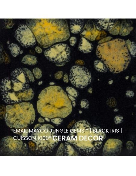 Email CG798 Black iris | MAYCO