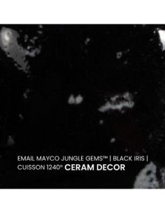Email CG798 Black iris | MAYCO 2