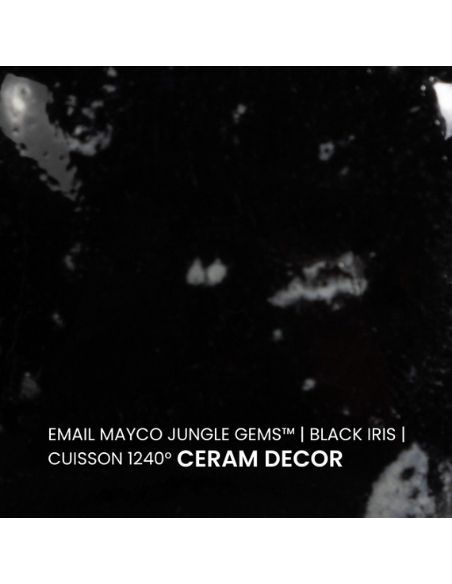 Email CG798 Black iris | MAYCO