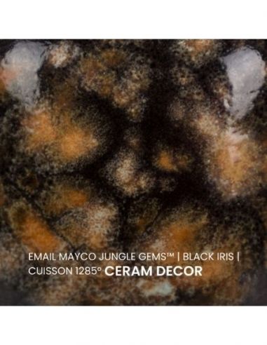 Email CG798 Black iris | MAYCO