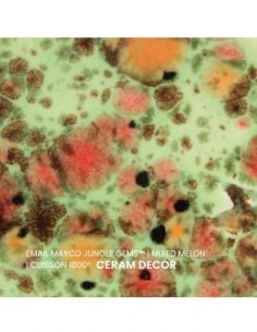 Email CG982 Mixed melon | MAYCO