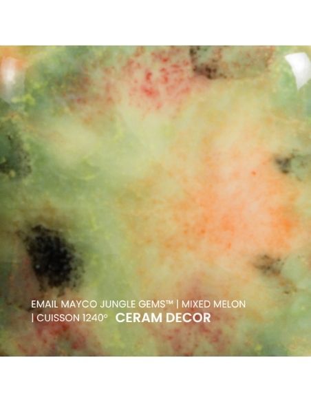 Email CG982 Mixed melon | MAYCO