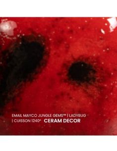 Email CG984 Ladybug | MAYCO 2