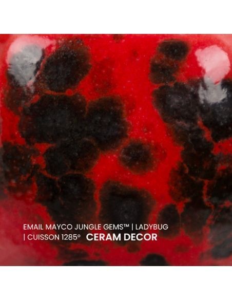 Email CG984 Ladybug | MAYCO