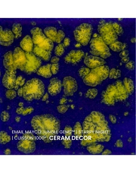 Email CG990 Starry night | MAYCO