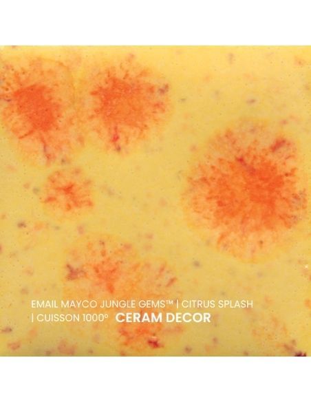 Email S2729 Citrus splash | MAYCO