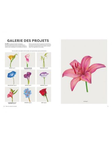 Livre "Fleurs au crayon de couleur" de...