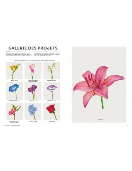 Livre "Fleurs au crayon de couleur" de Sun-Kyong Clifford