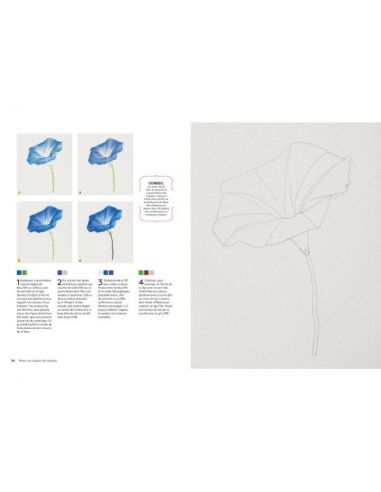Livre "Fleurs au crayon de couleur" de...