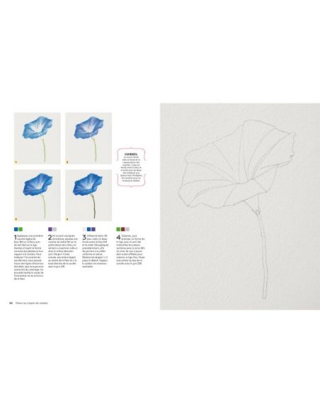 Livre "Fleurs au crayon de couleur" de Sun-Kyong Clifford