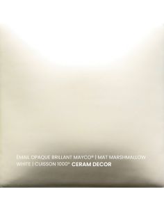 FN301 Email opaque mat Marshmallow white | MAYCO