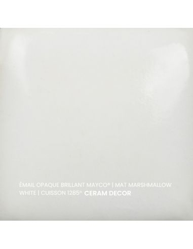 FN301 Email opaque mat Marshmallow white | MAYCO