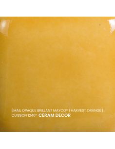 FN016 Email opaque brillant Harvest orange | MAYCO 2