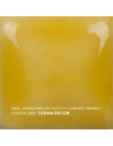FN016 Email opaque brillant Harvest orange | MAYCO
