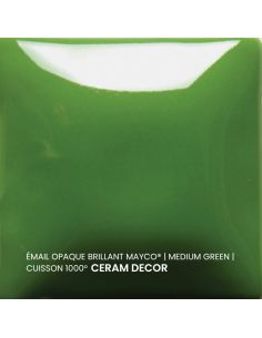 FN020 Email opaque brillant Medium green | MAYCO