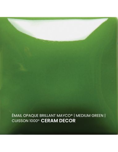 FN020 Email opaque brillant Medium green | MAYCO