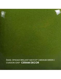 FN020 Email opaque brillant Medium green | MAYCO 2