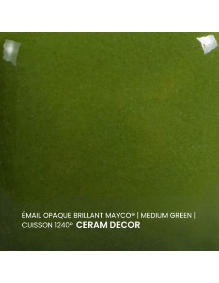 FN020 Email opaque brillant Medium green | MAYCO