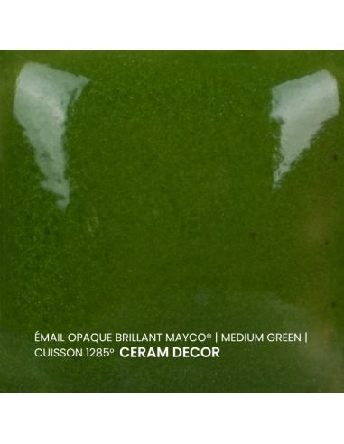 FN020 Email opaque brillant Medium green | MAYCO
