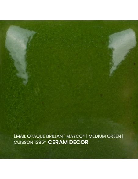 FN020 Email opaque brillant Medium green | MAYCO