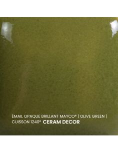 FN021 Email opaque brillant Olive green | MAYCO 2