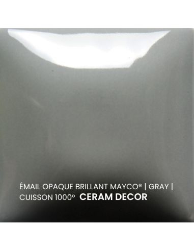 FN024 Email opaque brillant Gray | MAYCO