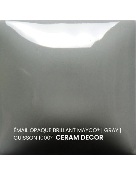 FN024 Email opaque brillant Gray | MAYCO