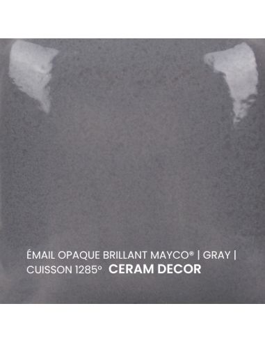 FN024 Email opaque brillant Gray | MAYCO