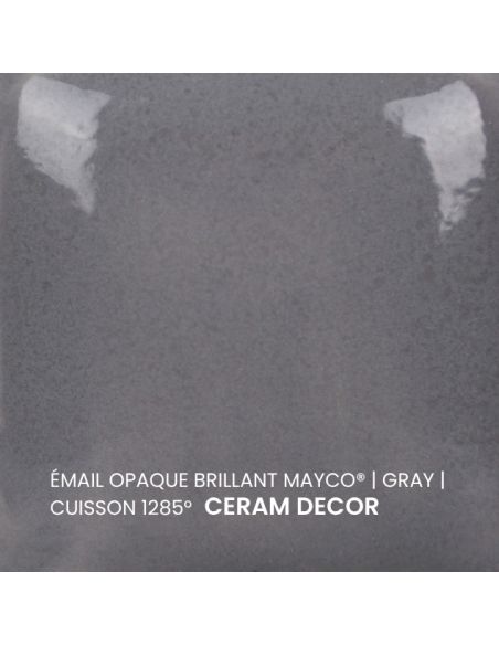 FN024 Email opaque brillant Gray | MAYCO