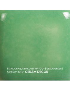 FN027 Email opaque brillant Glade green | MAYCO 2
