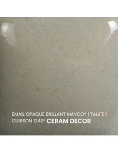FN045 Email opaque brillant Taupe | MAYCO 2