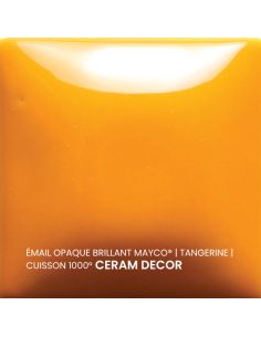 FN052 Email opaque brillant Tangerine | MAYCO