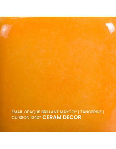 FN052 Email opaque brillant Tangerine | MAYCO